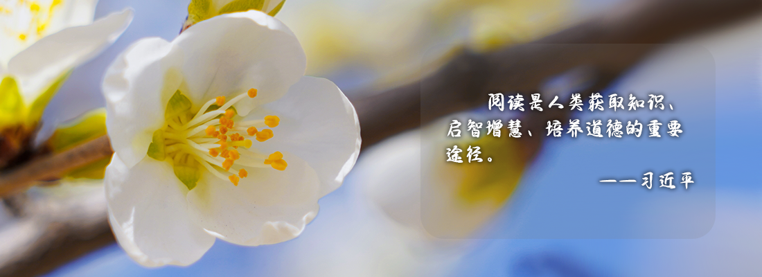 头图.png